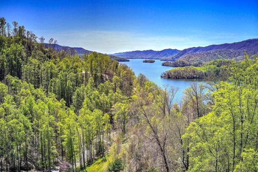 Iron Mountain Lodge - Beautiful Cabin With Forest & Mountain Views! Butler Bagian luar foto