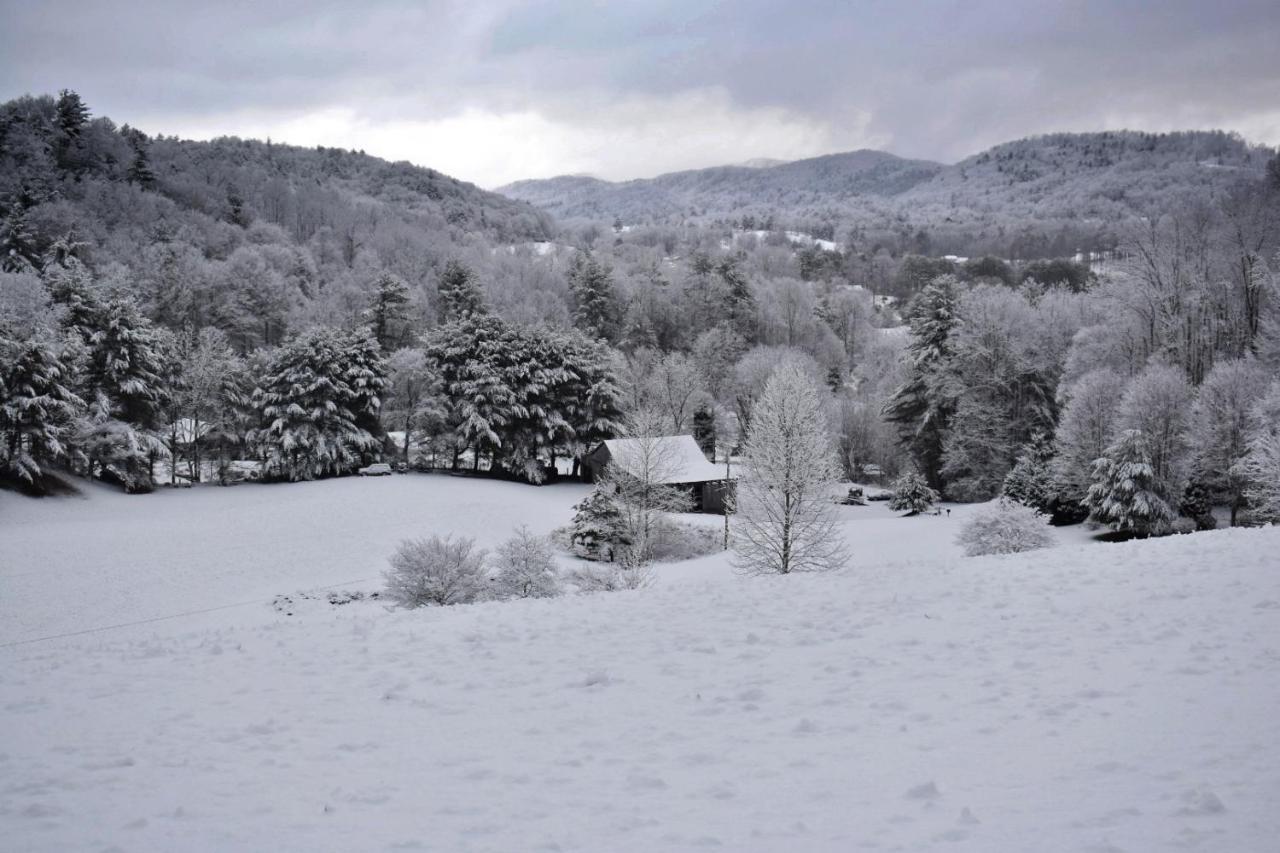 Iron Mountain Lodge - Beautiful Cabin With Forest & Mountain Views! Butler Bagian luar foto
