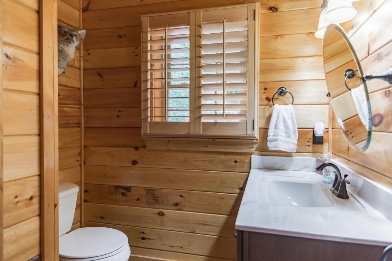 Iron Mountain Lodge - Beautiful Cabin With Forest & Mountain Views! Butler Bagian luar foto